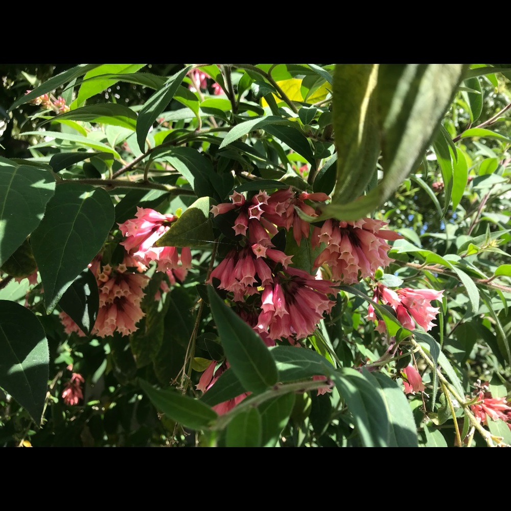 Meet your Posher, Kristina